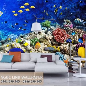 Tranh dán tường 3d phong cảnh biển đàn cá muôn màu sắc