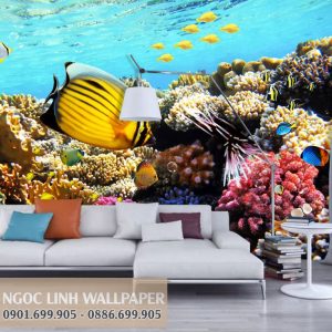 Tranh dán tường 3d phong cảnh biển san hô và cá càng