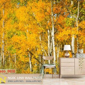 Tranh 3d dán tường phong cảnh mùa thu lá vàng