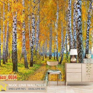 Tranh 3D dán tường phong cảnh mùa thu rừng cây thông
