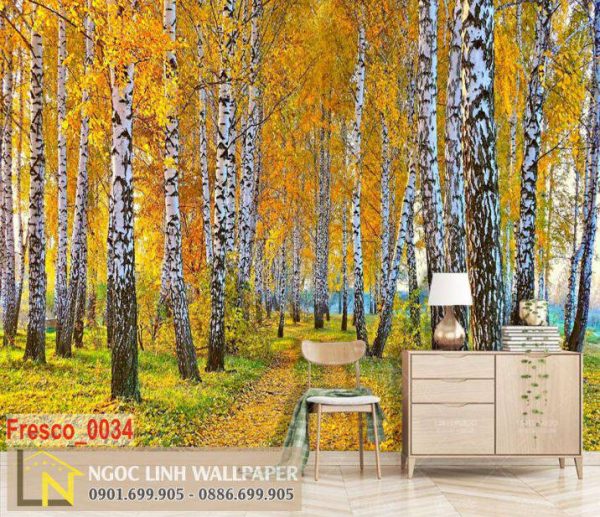 Tranh 3D dán tường phong cảnh mùa thu rừng cây thông