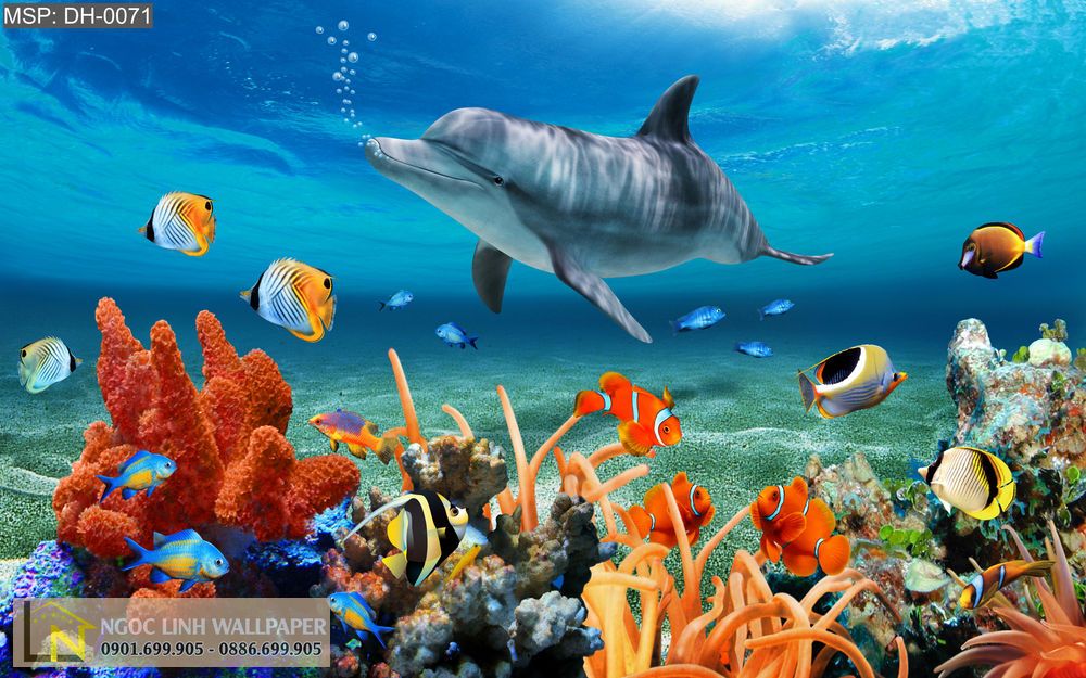 Tranh 3d san hô và cá heo