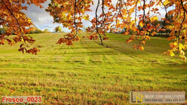 Tranh 3D phong cảnh mùa thu bên bãi cỏ đẹp