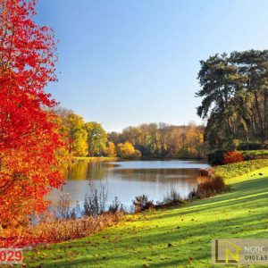 Tranh 3D phong cảnh mùa thu bên bờ hồ