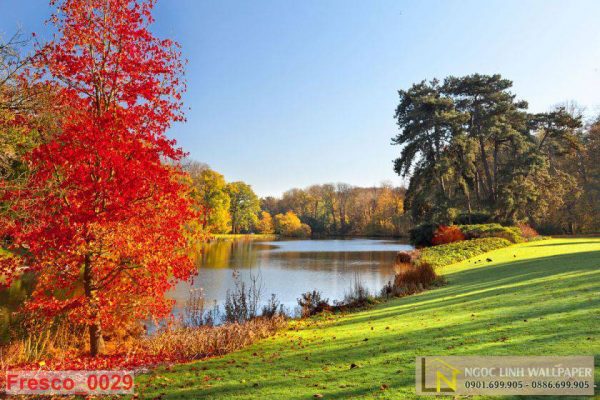 Tranh 3D phong cảnh mùa thu bên bờ hồ