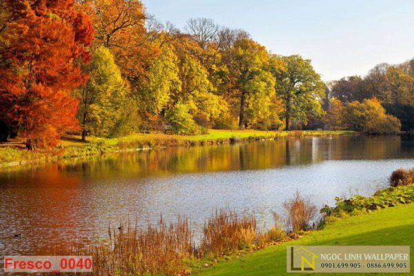 Tranh 3d phong cảnh mùa thu bên bờ hồ tuyệt đẹp