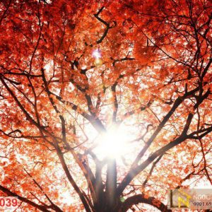Tranh 3D phong cảnh mùa thu lá phượng đỏ