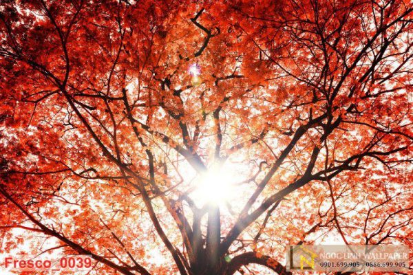 Tranh 3D phong cảnh mùa thu lá phượng đỏ
