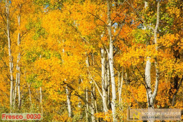 Tranh 3d phong cảnh mùa thu lá vàng