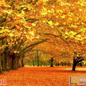 Tranh 3d phong cảnh mùa thu lá vàng rơi kín sân vườn
