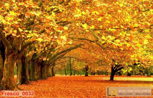 Tranh 3d phong cảnh mùa thu lá vàng rơi kín sân vườn