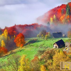 Tranh 3D phong cảnh mùa thu trên cao nguyên