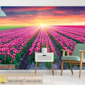 Tranh dán tường 3d cánh đồng hoa tulip