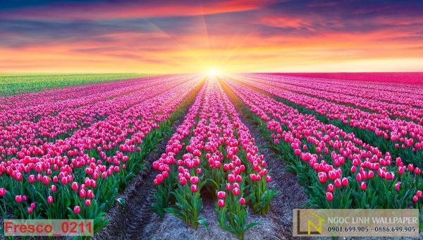Tranh 3d cánh đồng hoa tulip