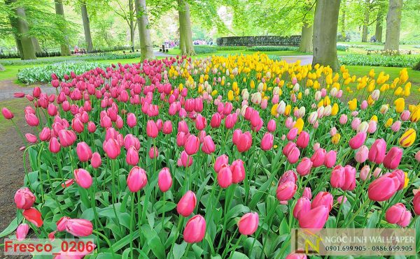 Tranh 3d vườn hoa tulip ở công viên