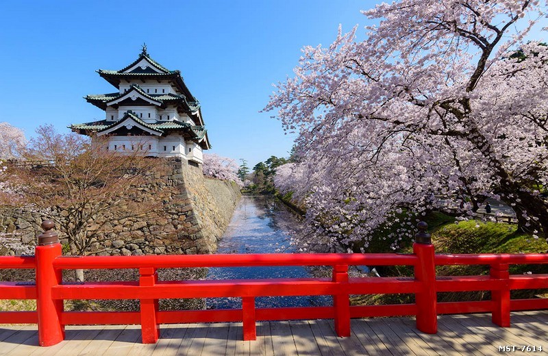 Tranh dán tường phong cách Nhật Bản lâu đài Himeji